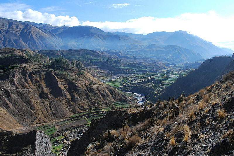 valle colca Arequipa