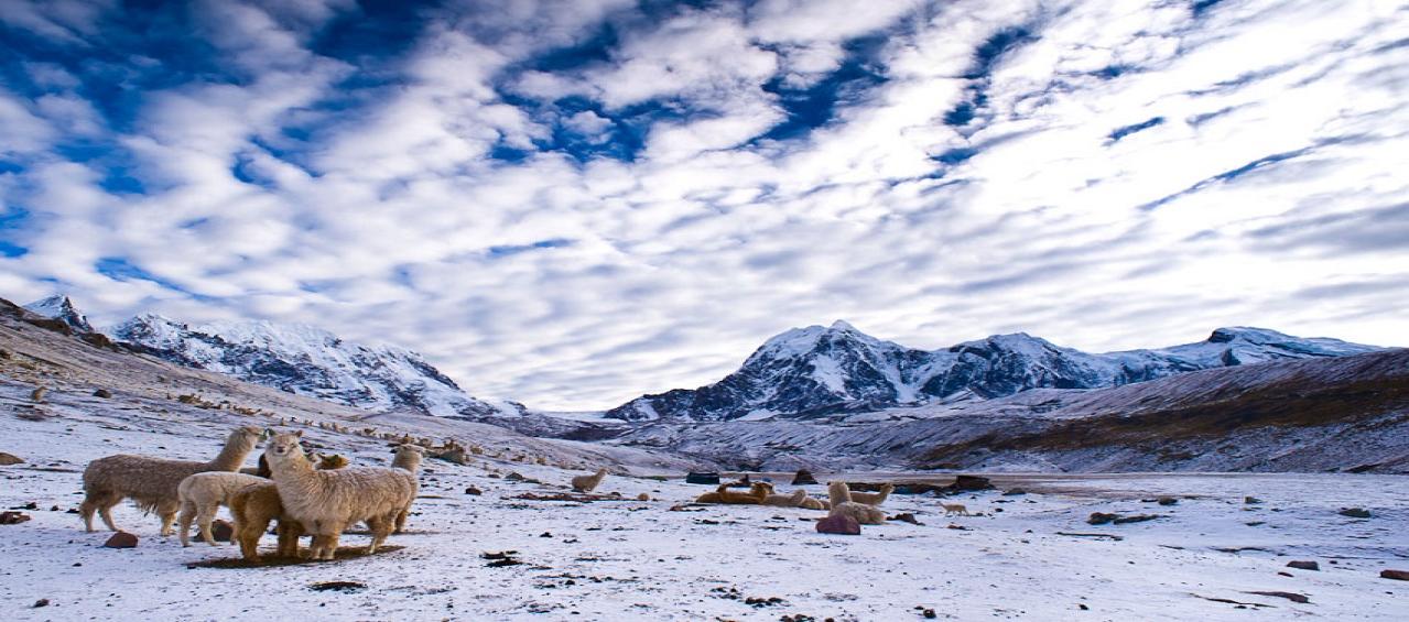 Ausangate Trek 4 Dí­as Y 3 Noches