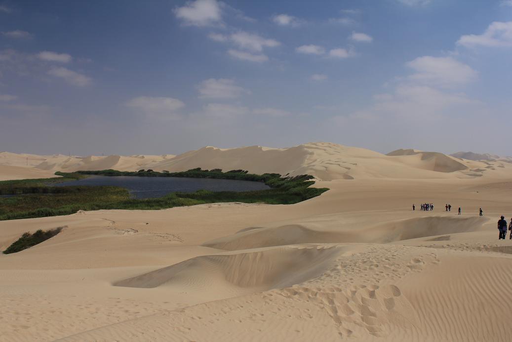 TREK: LOS OASIS DEL DESIERTO DE PISCO