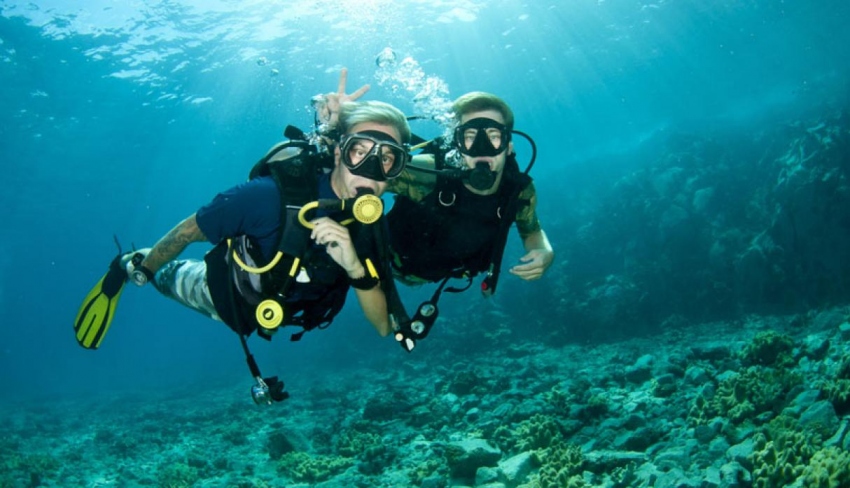 Aventura Acuática: Buceo En Paracas 