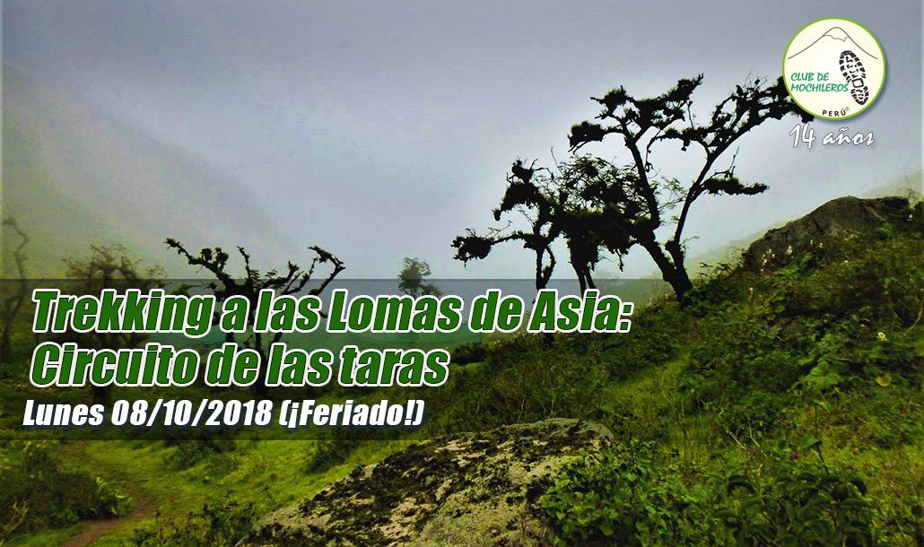 Trekking A Las Lomas De Asia: 