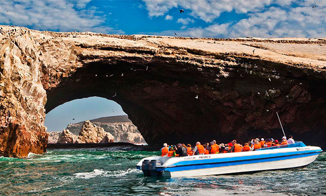 Visita Islas Ballestas 