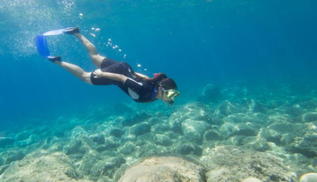 Snorkeling En Pucusana 