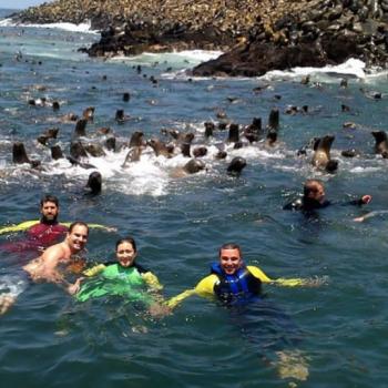 Tour Marino en el Callao + nado con lobos + show pirata