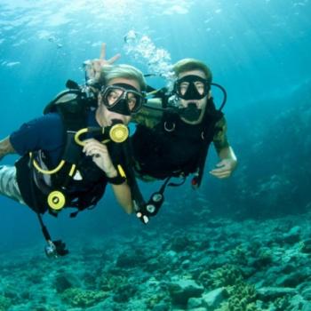 Aventura Acuática: Buceo en Paracas 