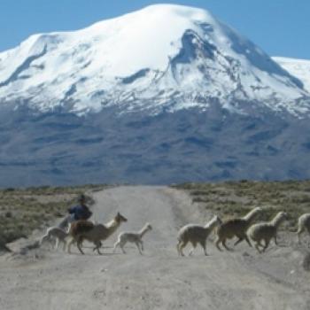 Trekking al Nevado Coropuna