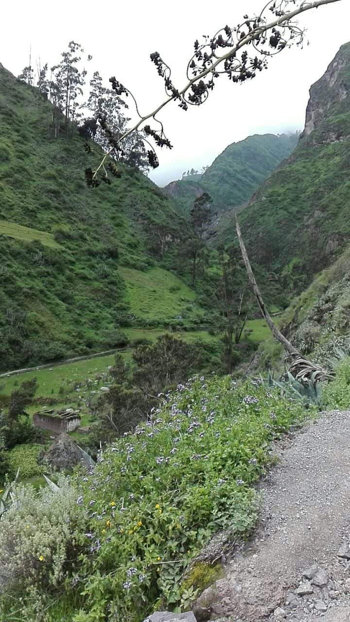 Catarata Antankallo