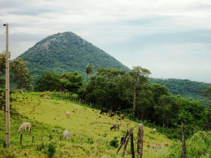 Cerro San José