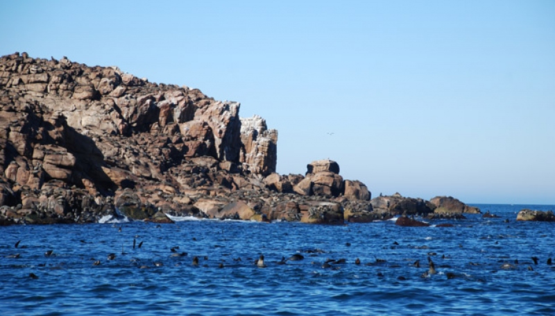 Isla Lobos de Tierra