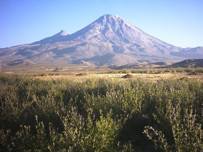 La cordillera Volcánica