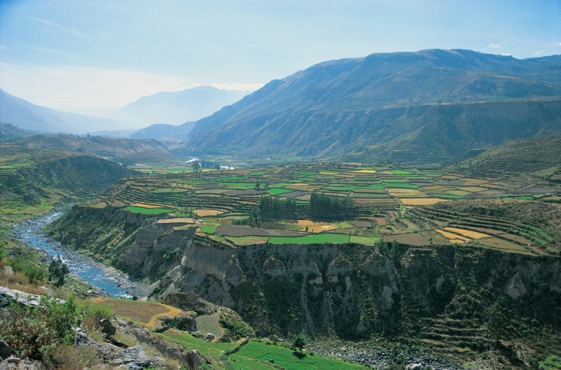 Rio Colca