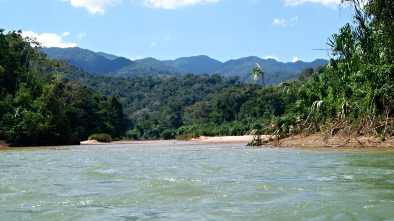 Rio Tambopata