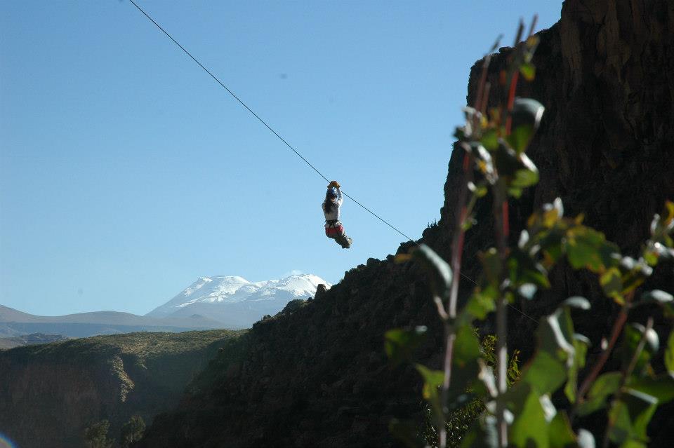 Canopy en el Cañon del colca