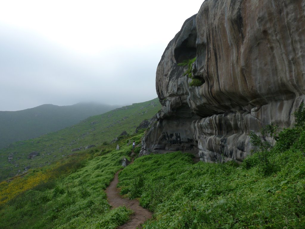 Lomas de Lucumo