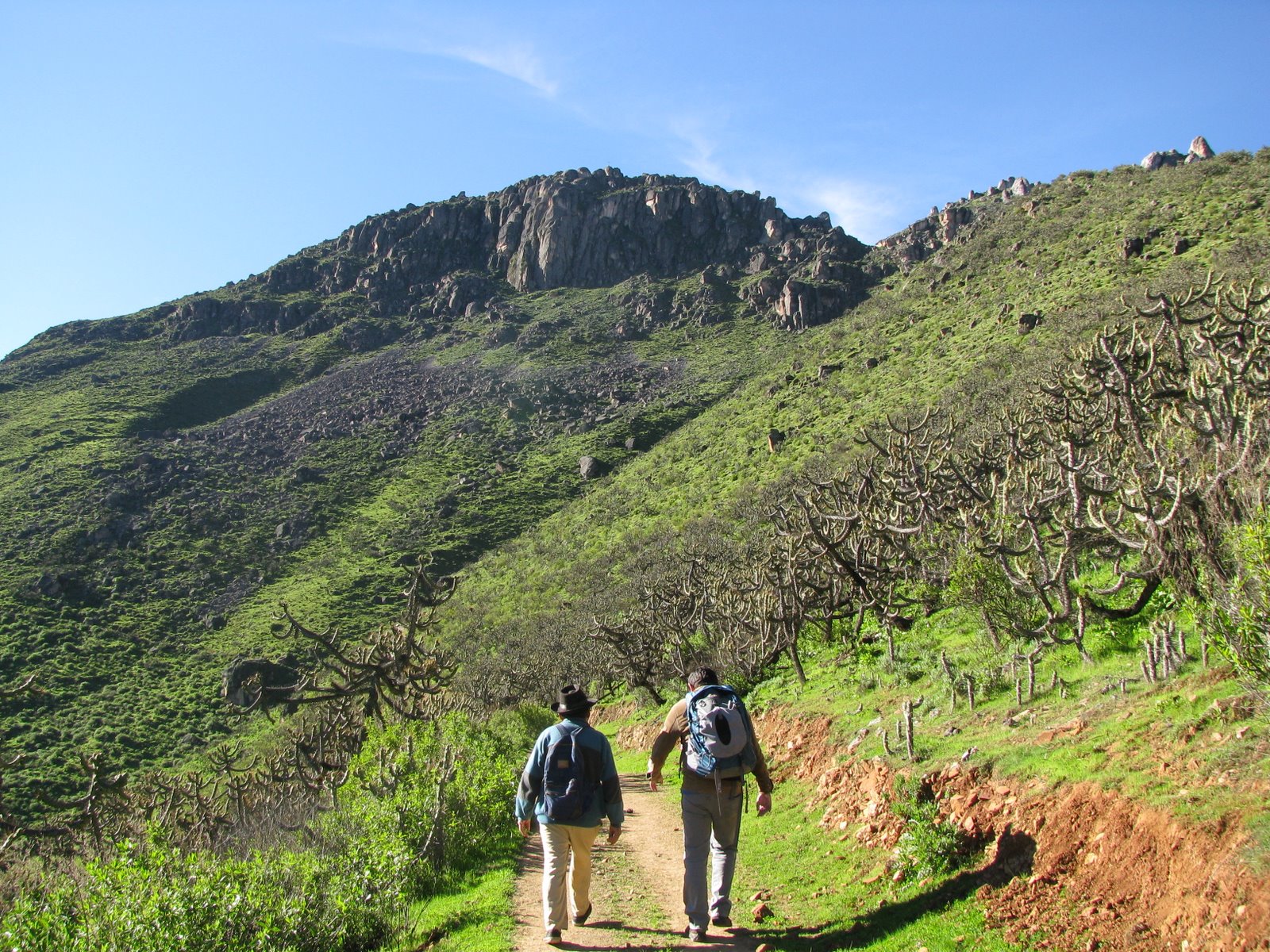 trekking en Marcahuasi