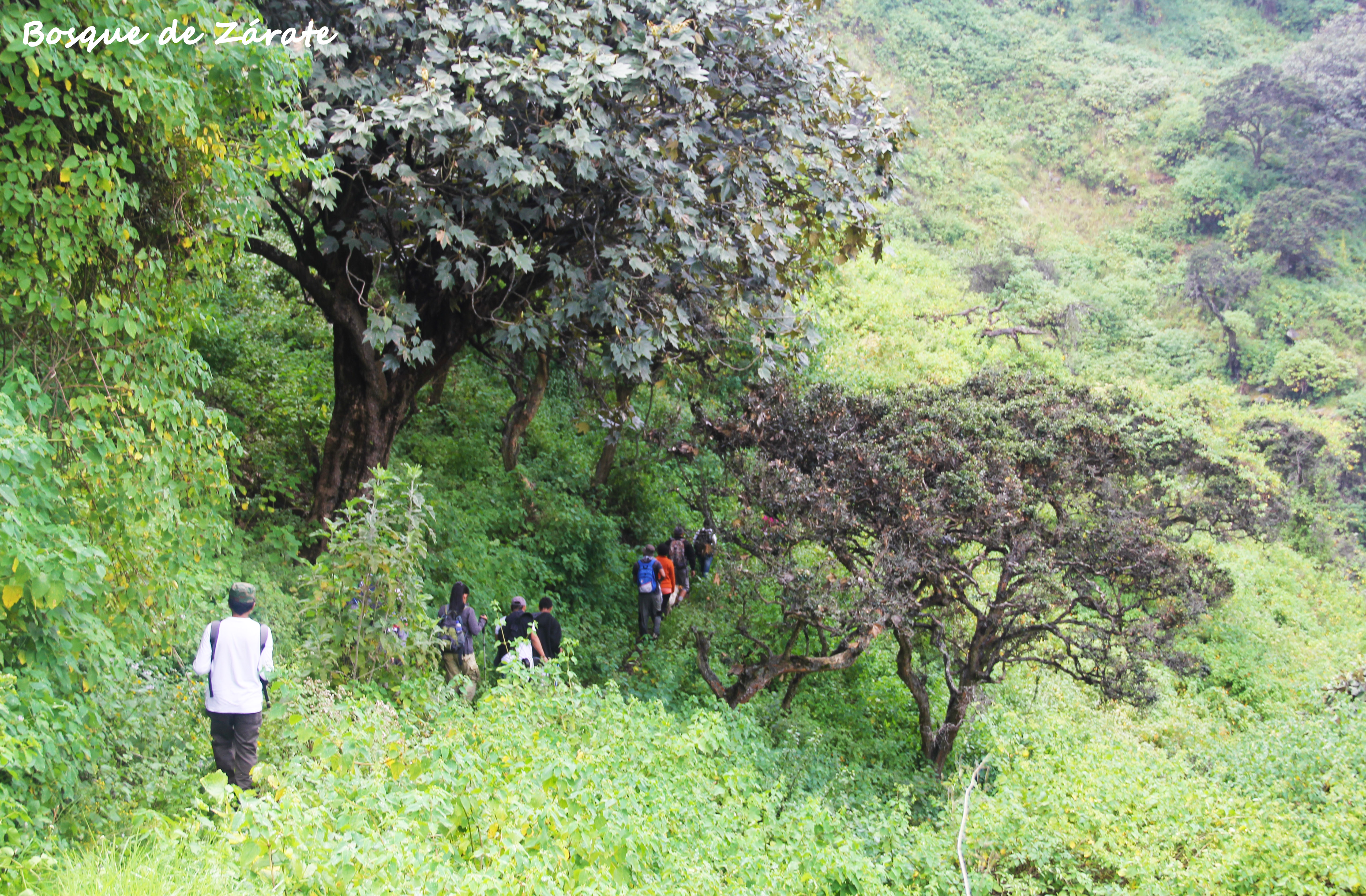 Trekking al Bosque de Zarate