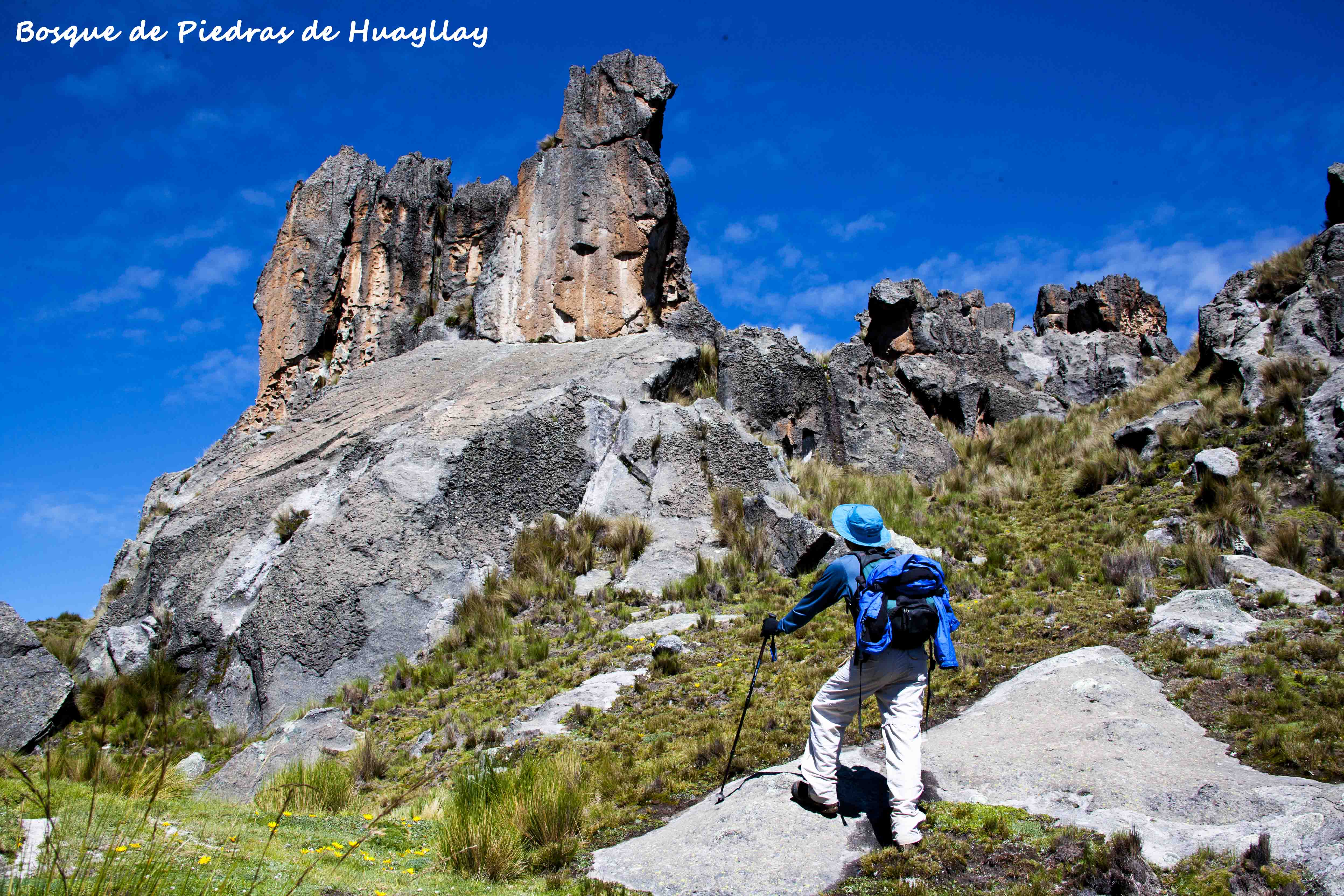 Trekking al Bosque de Huayllay