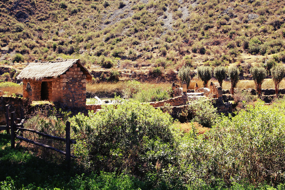 Puentes coloniales huancaya de aventura