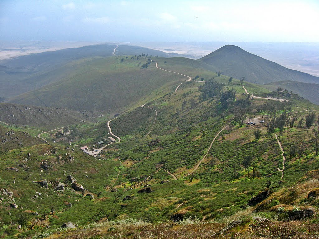 trekking en lomas de lachay