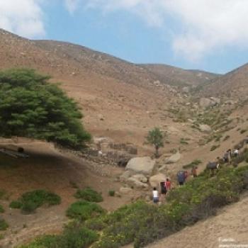 Escalada en Atiquipa